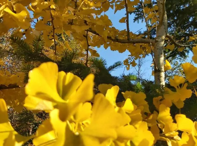 Vakantiehuis Cocoon Saint-Jean-aux-Bois (Oise)
