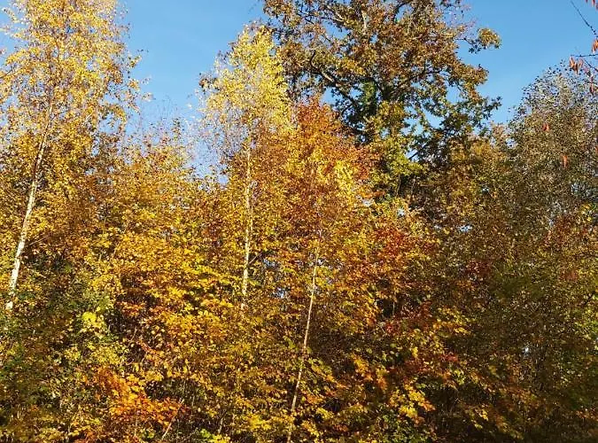 Cocoon Vakantiehuis *